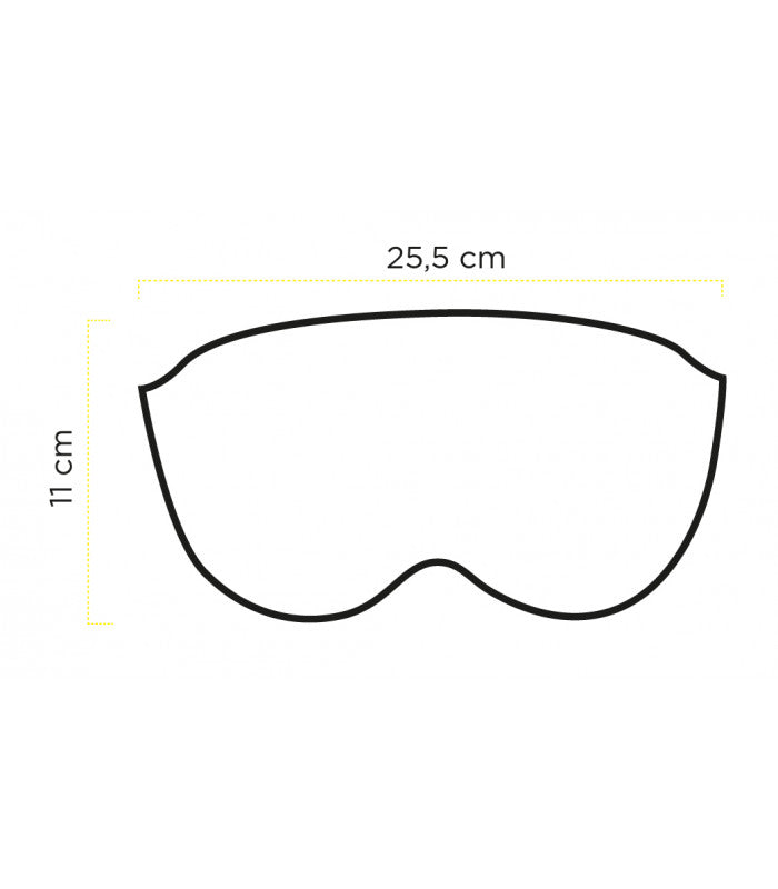 Ethen Smoked Visor - Black